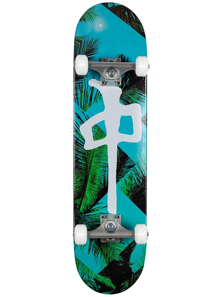 Red Dragon Palm Beach Complete Team 7.75"