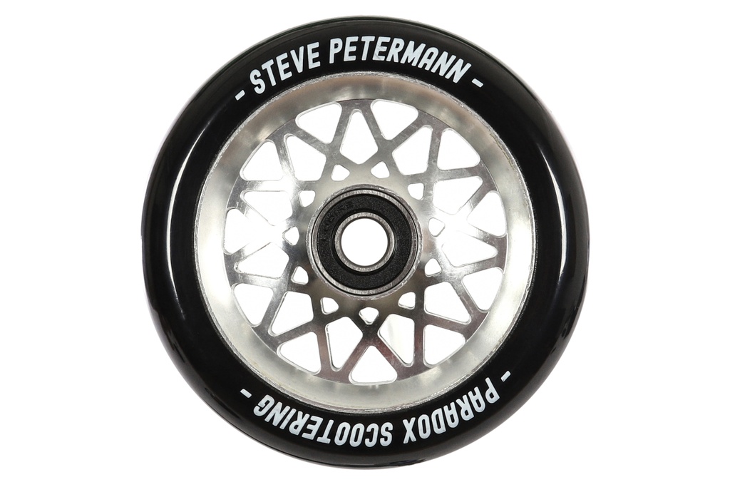 Roue Paradox Steve Petermann 120x24 12 STD Brut